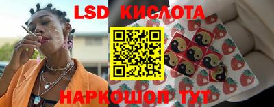 винт Пенза