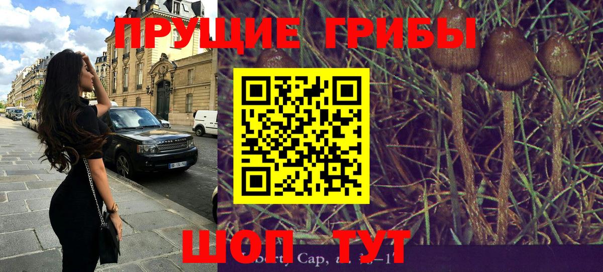 Обь  Галлюциногенные грибы ЛСД  Вход с VPN  Галлюциногенные грибы Psilocybine cubensis 